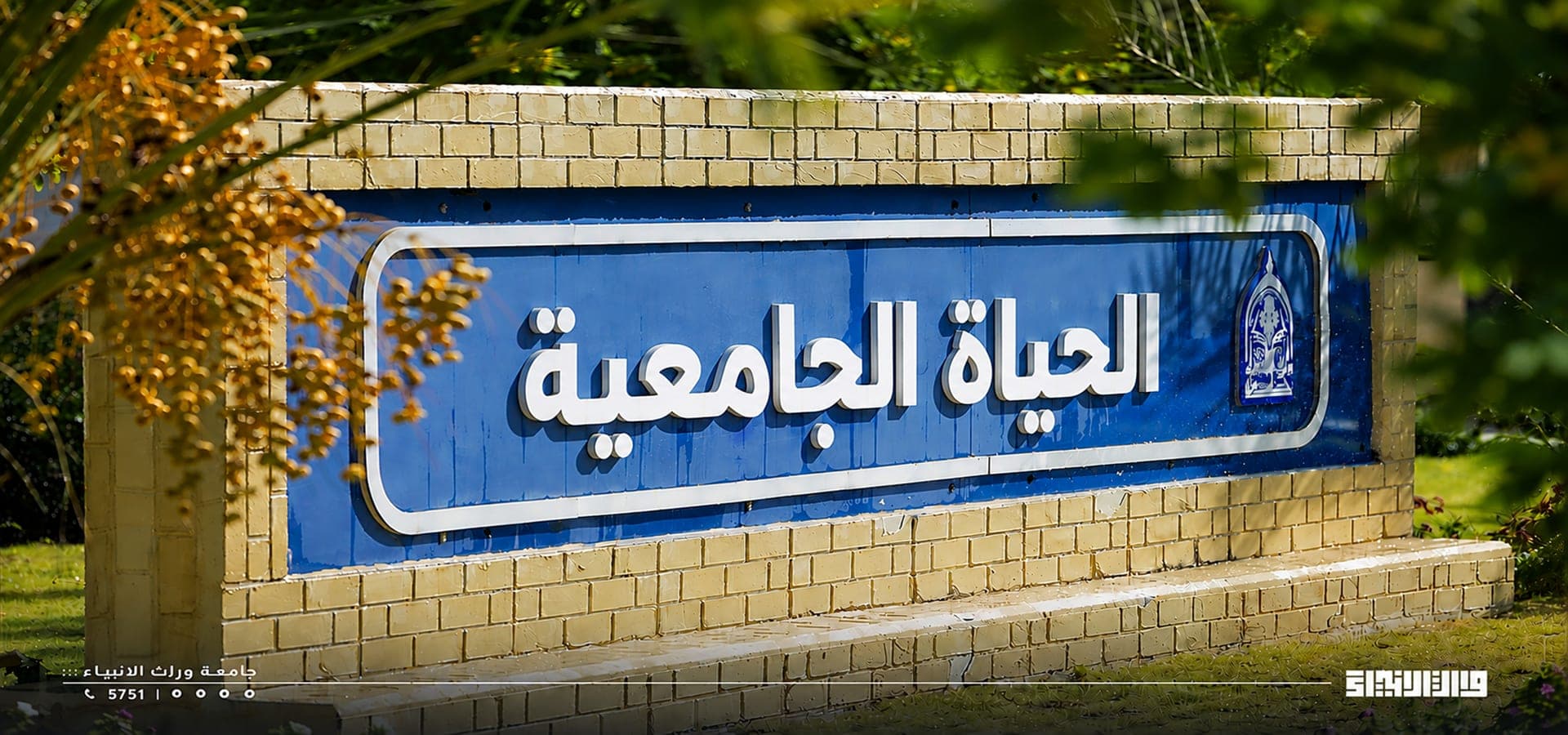 مدخل الحياة الجامعية